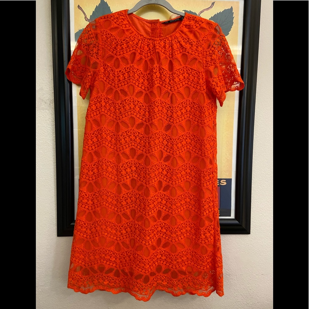 ZARA Lacey Layered Dress
